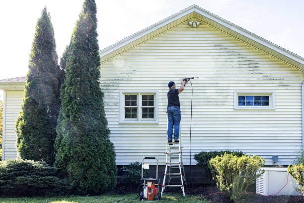 Best Sidewalk and Walkway Cleaning  in Center Hill, FL